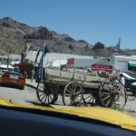 SONY DSC (April 21, 2012)